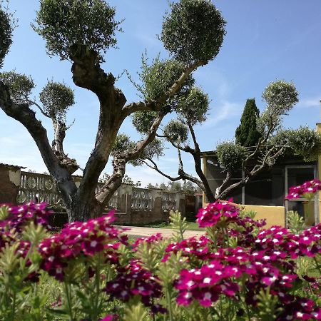 B&B Casa Degli Ulivi Nettuno Exterior photo