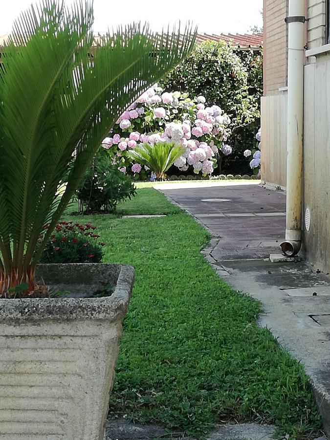 B&B Casa Degli Ulivi Nettuno Exterior photo